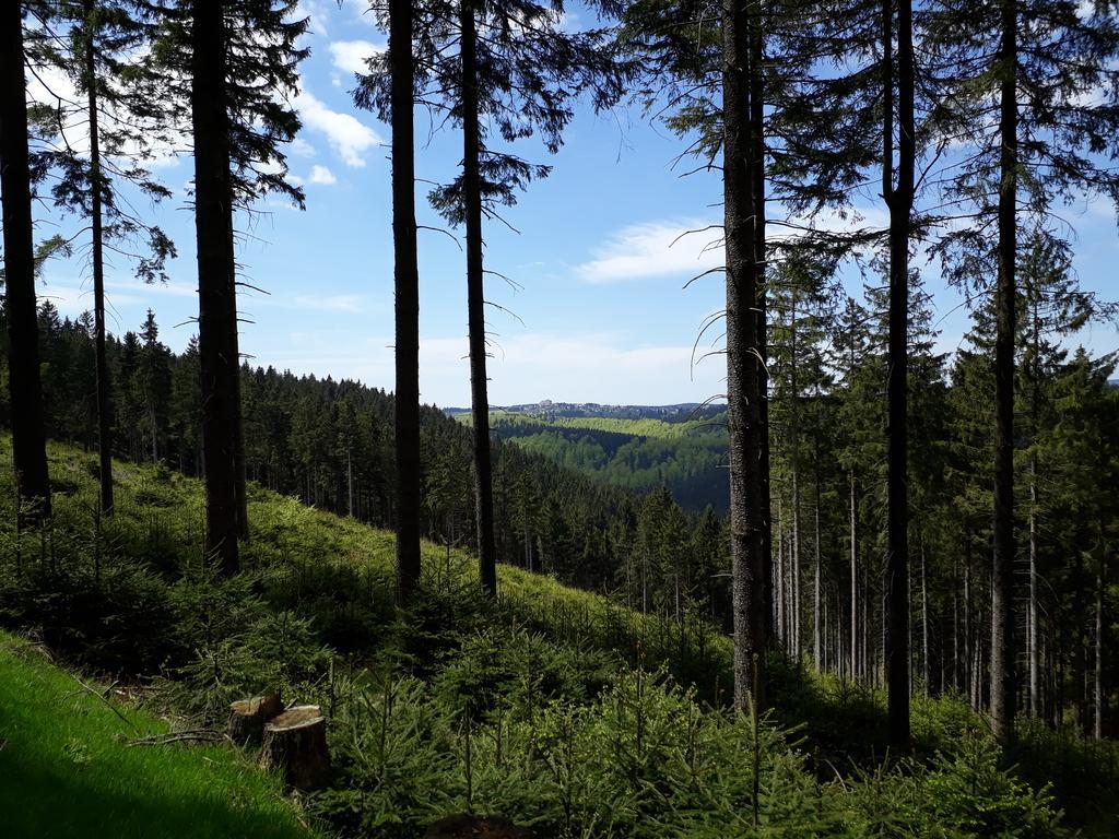 Hotel Drei Kronen Frauenwald Buitenkant foto